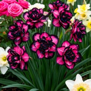 Нарцисс Золотая Корона купить по цене от 2000р. в интернет-магазине «Посадика» с доставкой почтой в в Новая Ладогае и по всей России – [изображение №1].